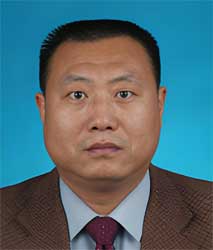 金属矿床地质/矿床地球化学专家-王建平